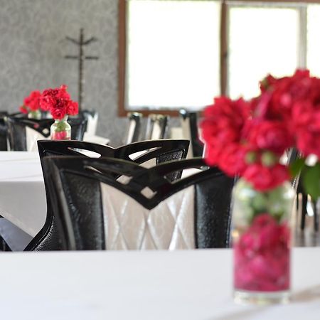 Johnny Hotel Kamenice 外观 照片